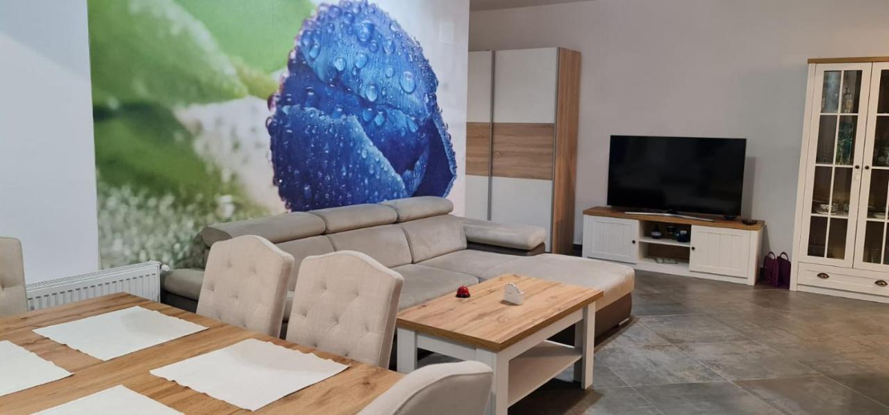 Apartament Fiore Blu Năvodari Zewnętrze zdjęcie